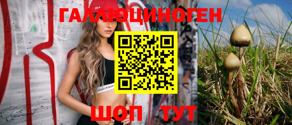 Галлюциногенные грибы прущие грибы  Вход с VPN  где найти   Мценск 