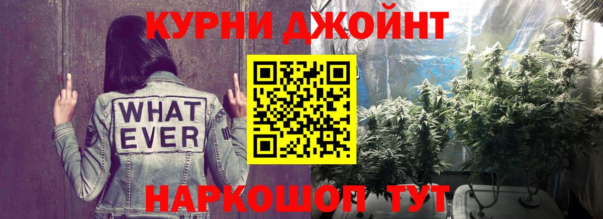 Конопля сатива Мценск